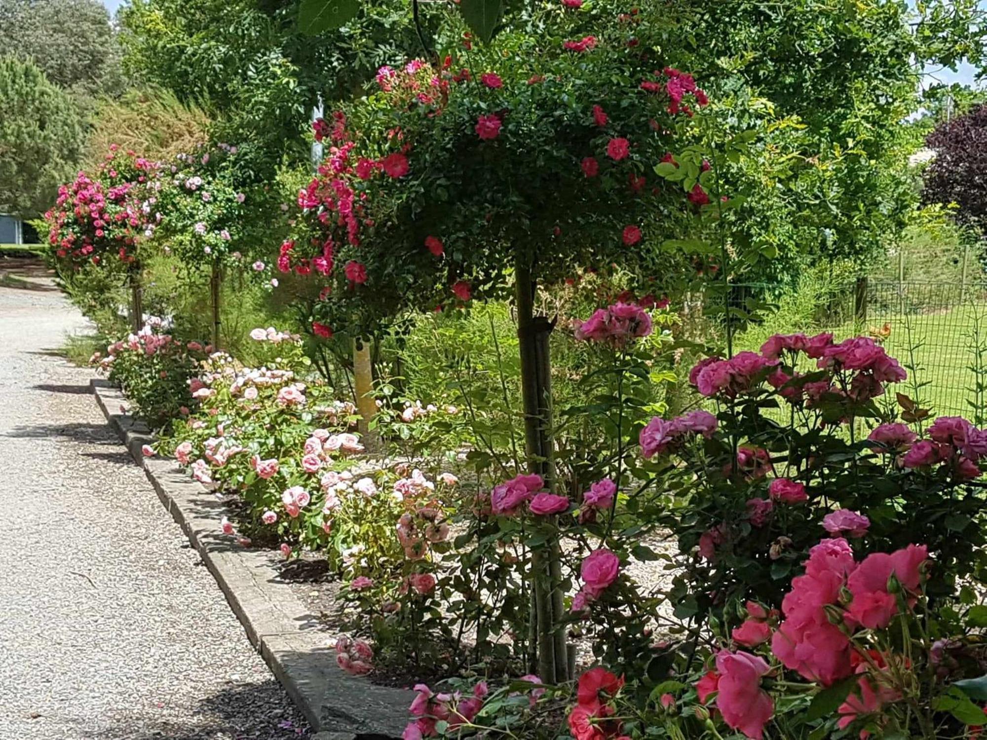 Domaine Les Rousselieres Villa Olonne-sur-Mer Exterior foto