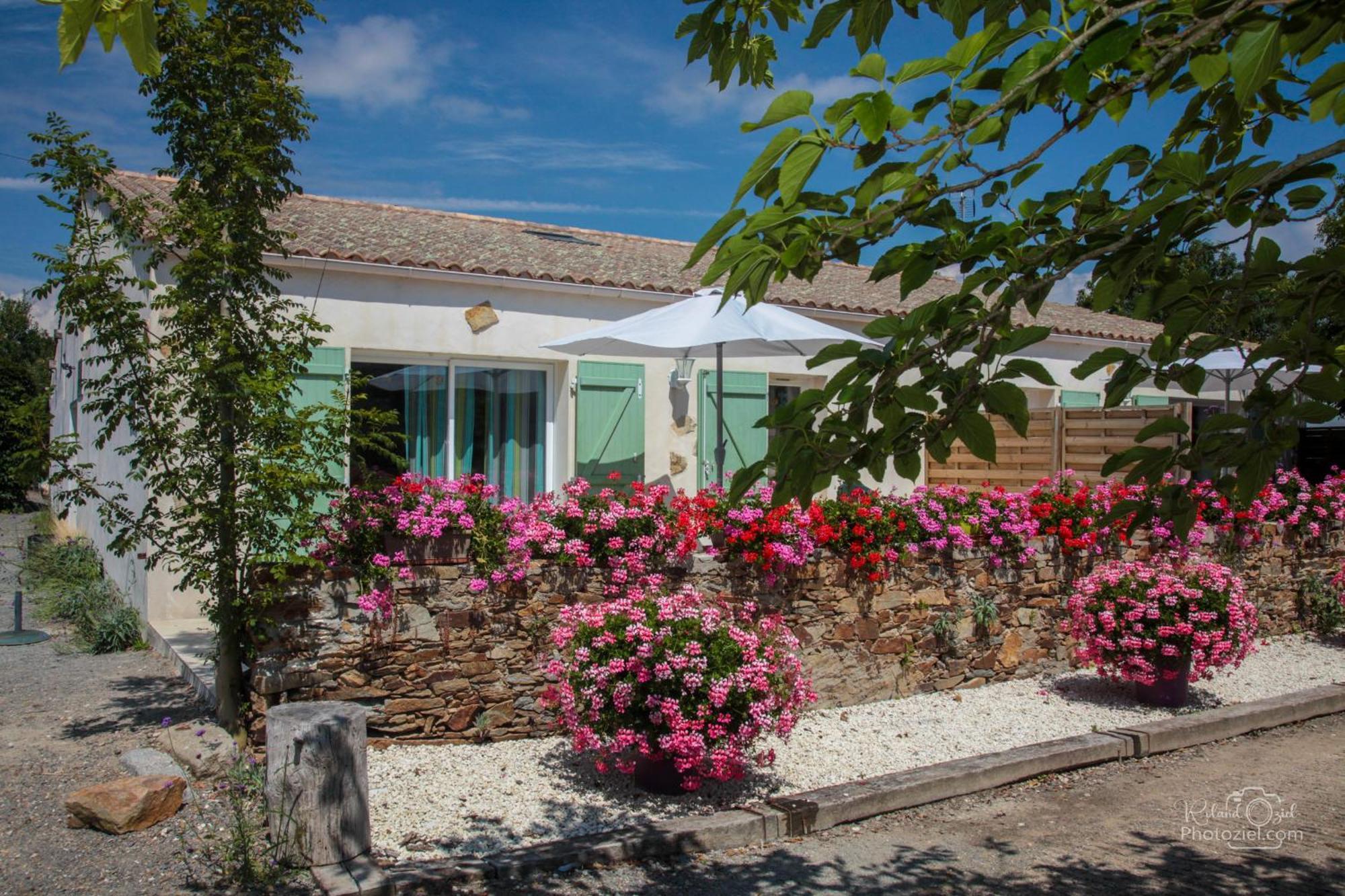 Domaine Les Rousselieres Villa Olonne-sur-Mer Exterior foto