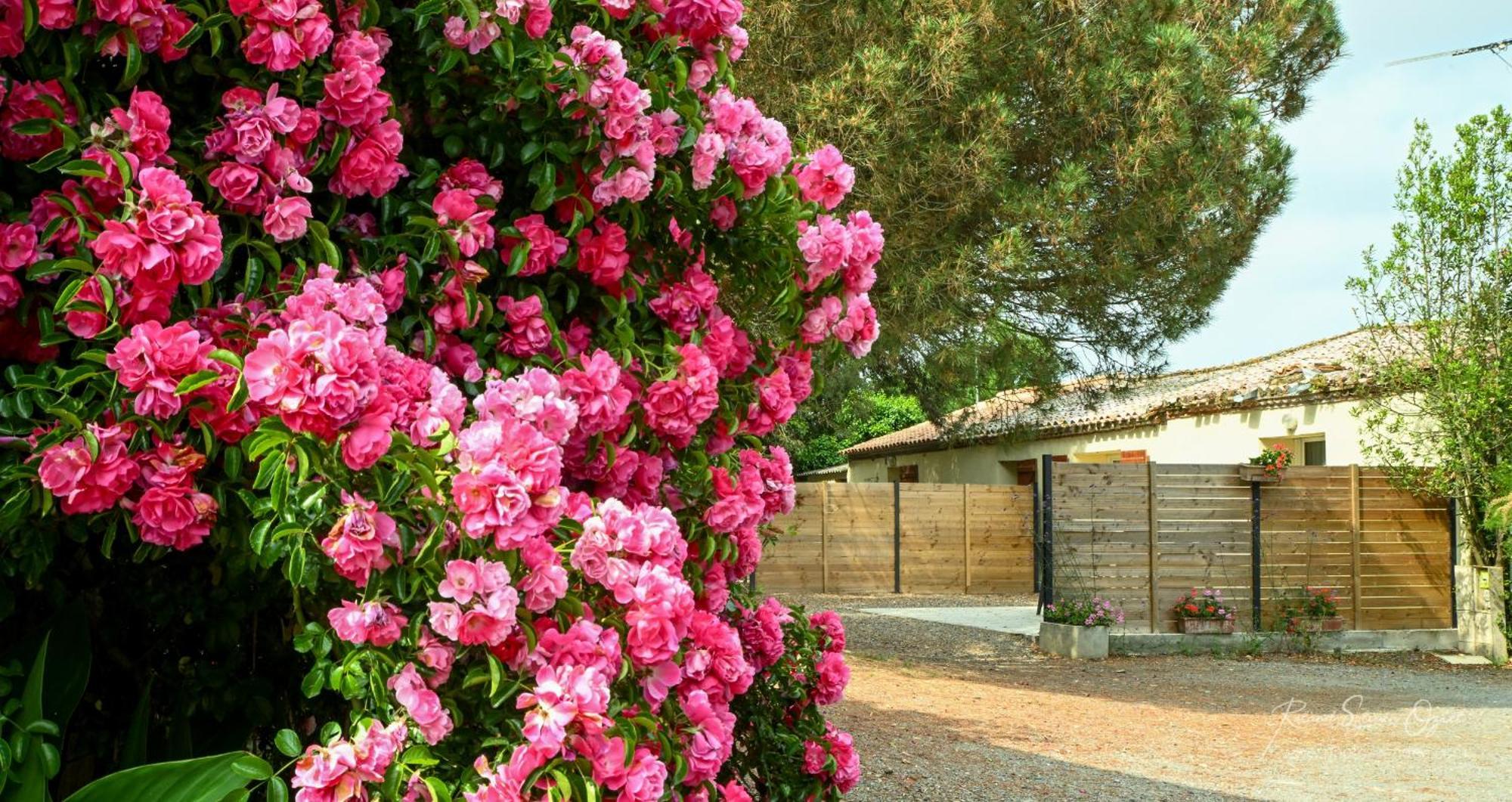 Domaine Les Rousselieres Villa Olonne-sur-Mer Exterior foto