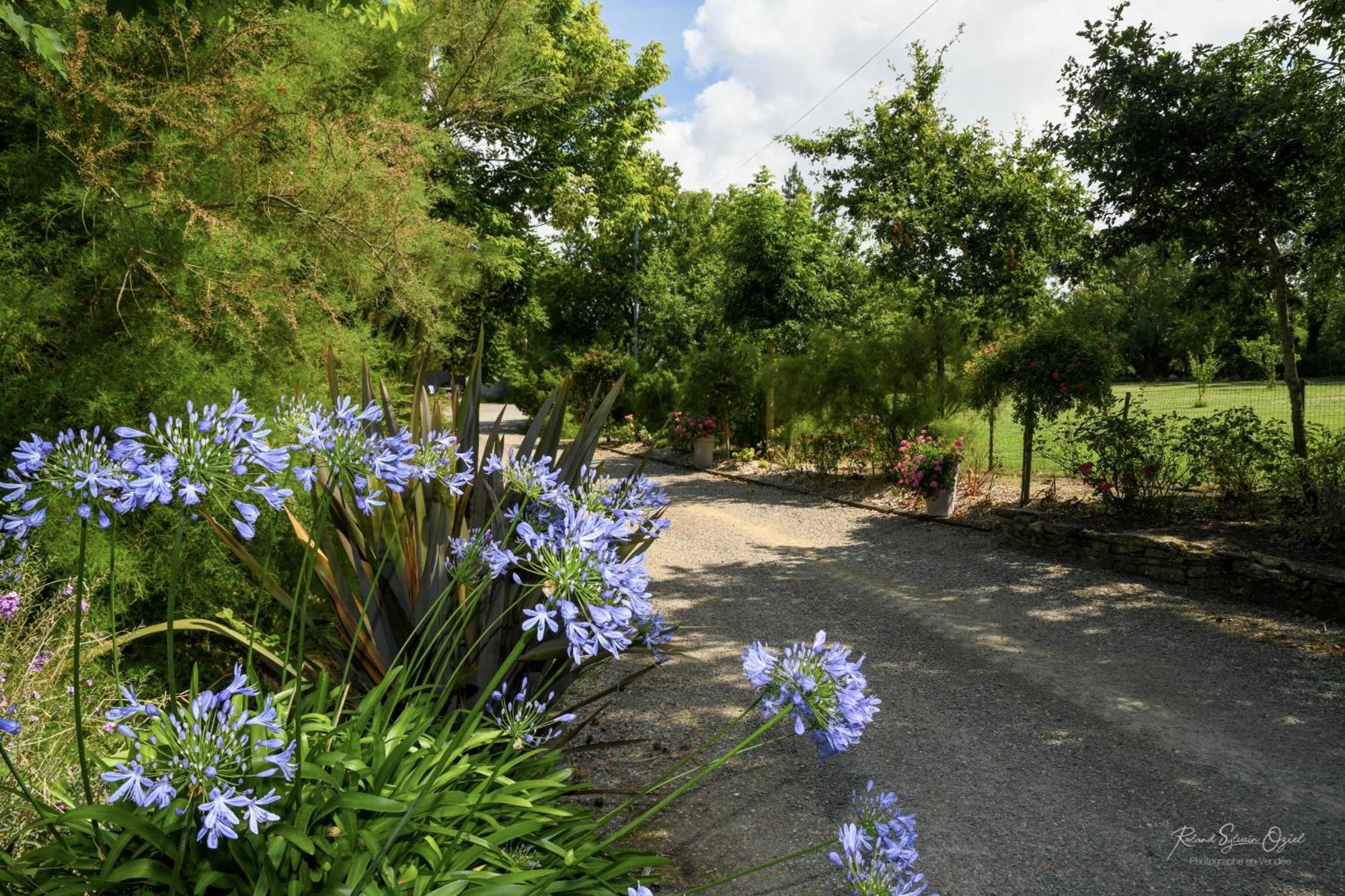 Domaine Les Rousselieres Villa Olonne-sur-Mer Exterior foto